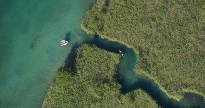 Die Everglades von Kärnten am Faaker See. Sie lassen sich mit Kanu oder Kajak erkunden