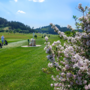 Eine außergewöhnliche Golfanlage mit Panorama und Idylle