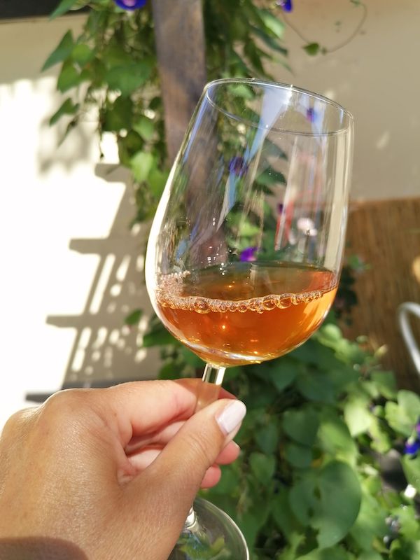 Herbstleuchten im Weinglas: Bei Orangewein spricht man auch von der „vierten Weinfarbe“.